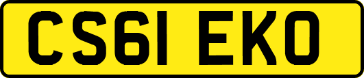 CS61EKO
