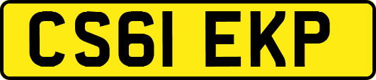CS61EKP