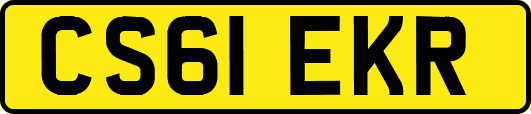 CS61EKR