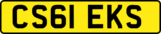 CS61EKS