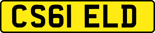 CS61ELD