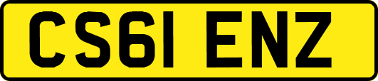 CS61ENZ