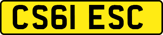 CS61ESC