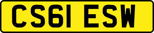 CS61ESW