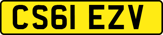 CS61EZV