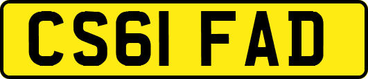 CS61FAD