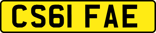 CS61FAE