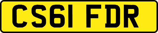 CS61FDR