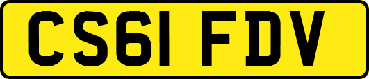 CS61FDV