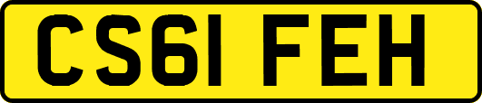 CS61FEH