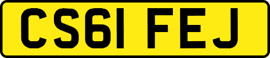 CS61FEJ