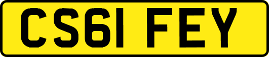 CS61FEY