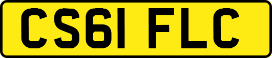 CS61FLC