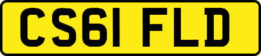 CS61FLD