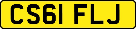 CS61FLJ