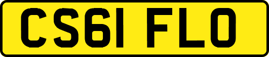 CS61FLO