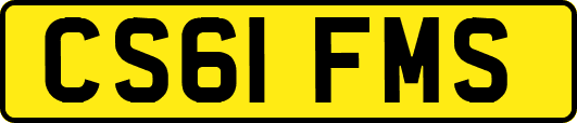 CS61FMS