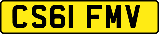 CS61FMV