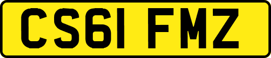 CS61FMZ