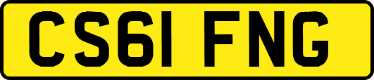 CS61FNG