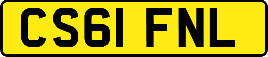 CS61FNL