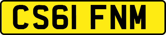 CS61FNM