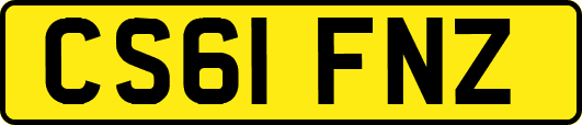 CS61FNZ