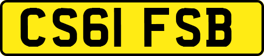CS61FSB