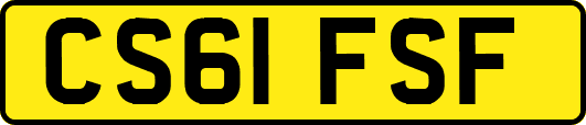 CS61FSF