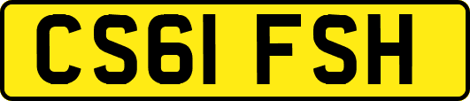 CS61FSH
