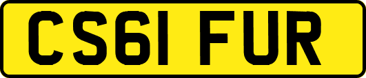 CS61FUR