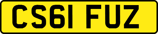CS61FUZ
