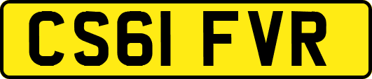 CS61FVR