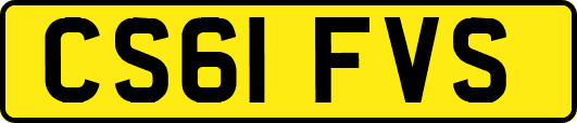 CS61FVS