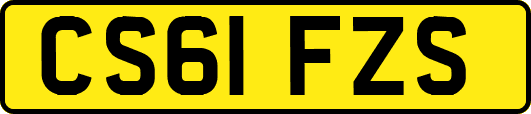 CS61FZS