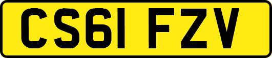 CS61FZV