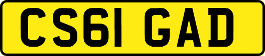 CS61GAD