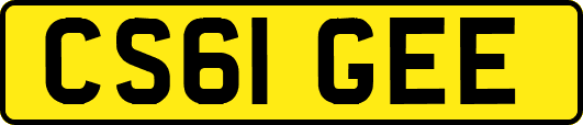 CS61GEE