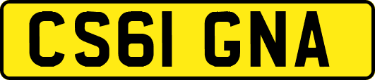 CS61GNA