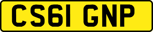 CS61GNP
