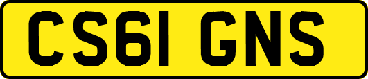 CS61GNS