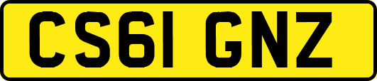 CS61GNZ