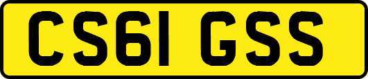 CS61GSS