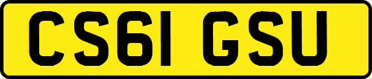 CS61GSU