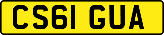 CS61GUA