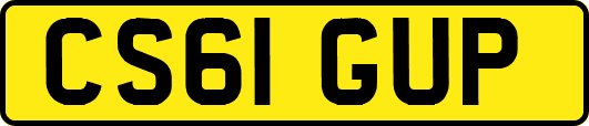 CS61GUP
