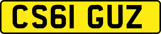 CS61GUZ