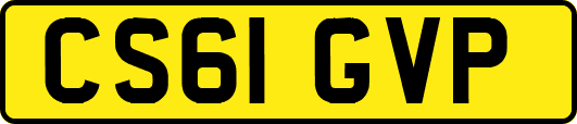 CS61GVP