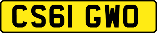 CS61GWO