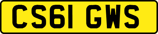 CS61GWS